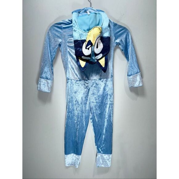 Bluey Other - Bluey costume size 3T/4T